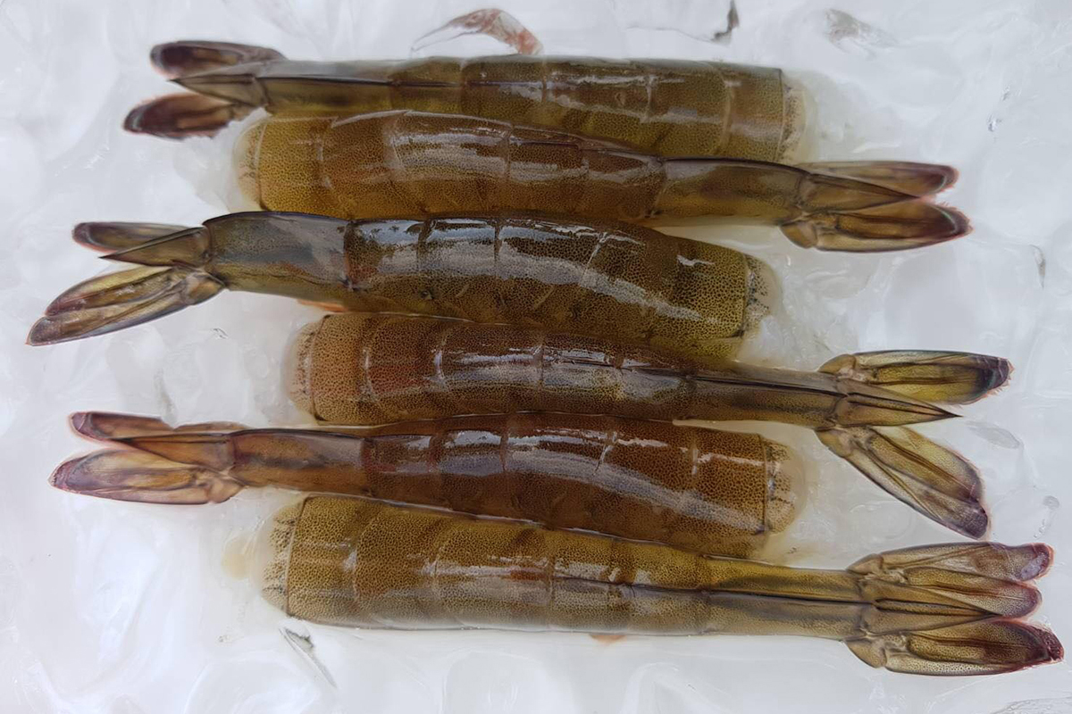 Cloud Zoom small image