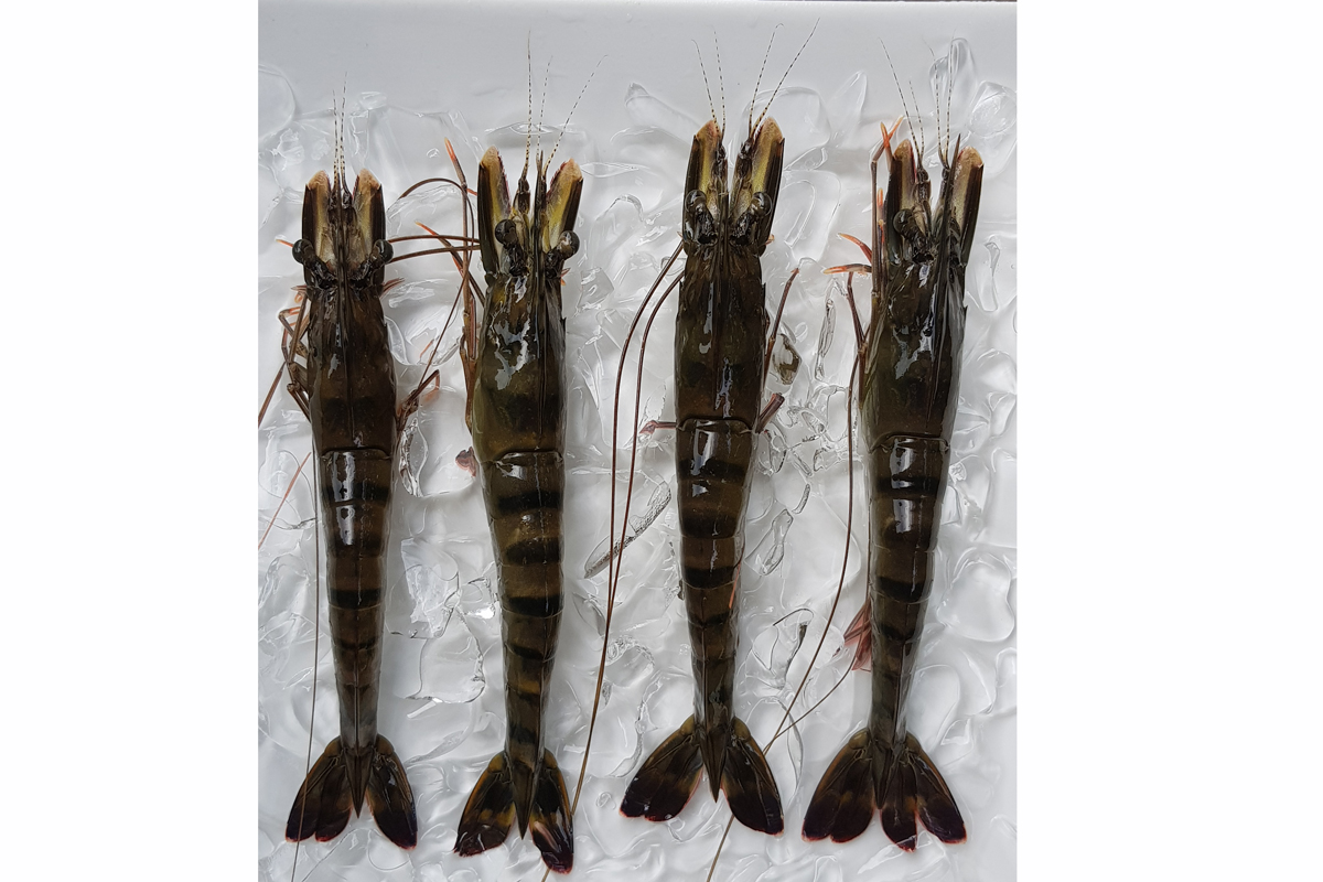 Cloud Zoom small image