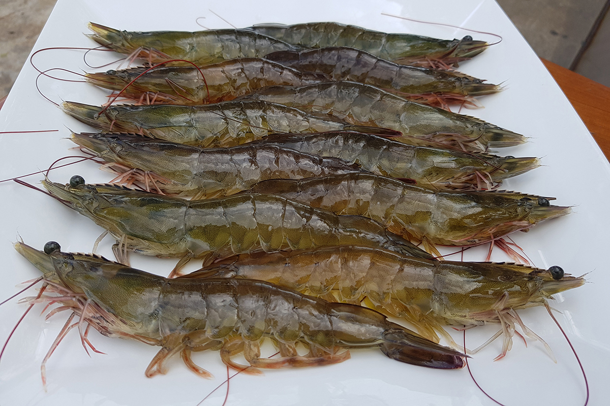 Cloud Zoom small image